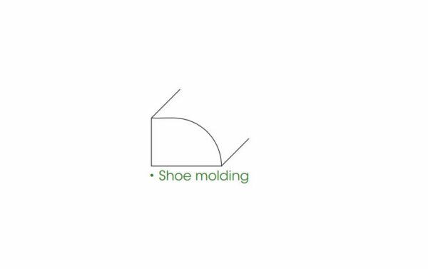 Shoe Molding